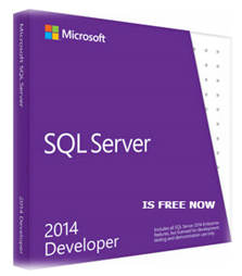 microsoft sql server developer download